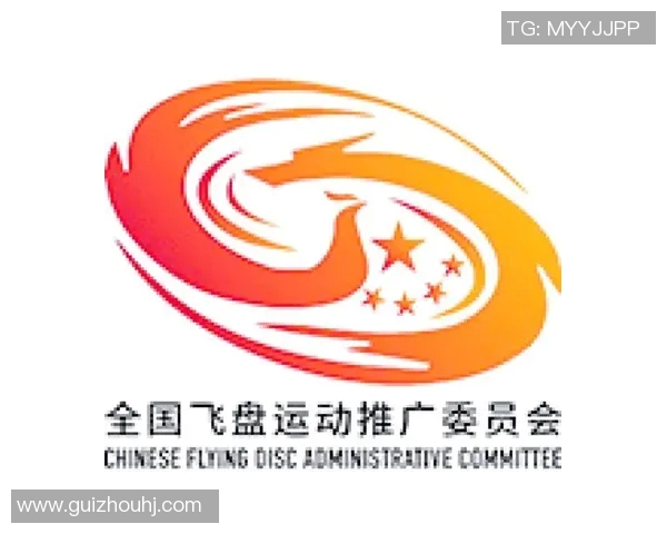 飞盘运动的魅力与挑战上海飞盘队的团队意识与发展探讨